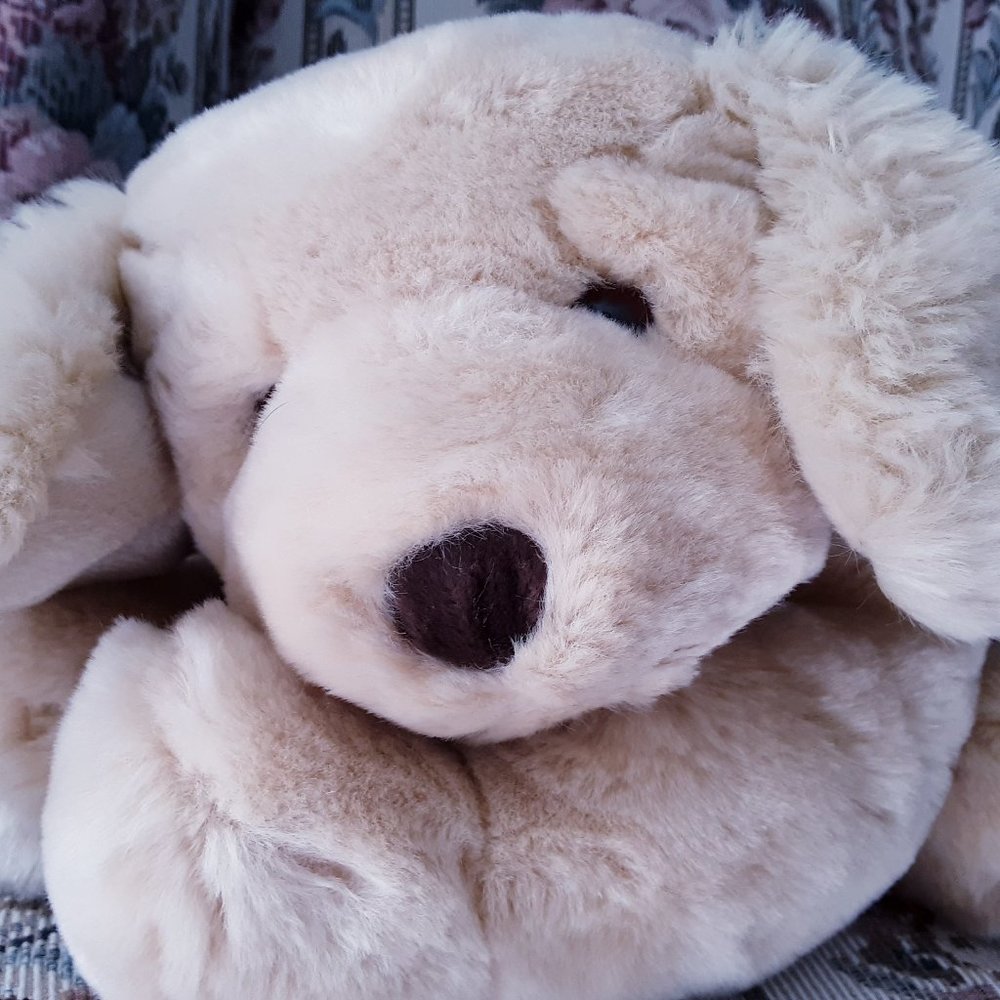Tan Plush Puppy, Brown Nose & Eyes